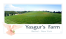 Yasgur's Farm, thumbnail